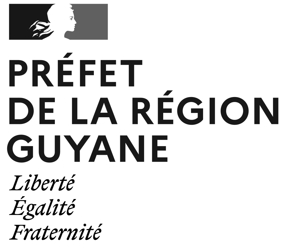 Logo Direction de la Culture de la Jeunesse et des Sports de Guyane